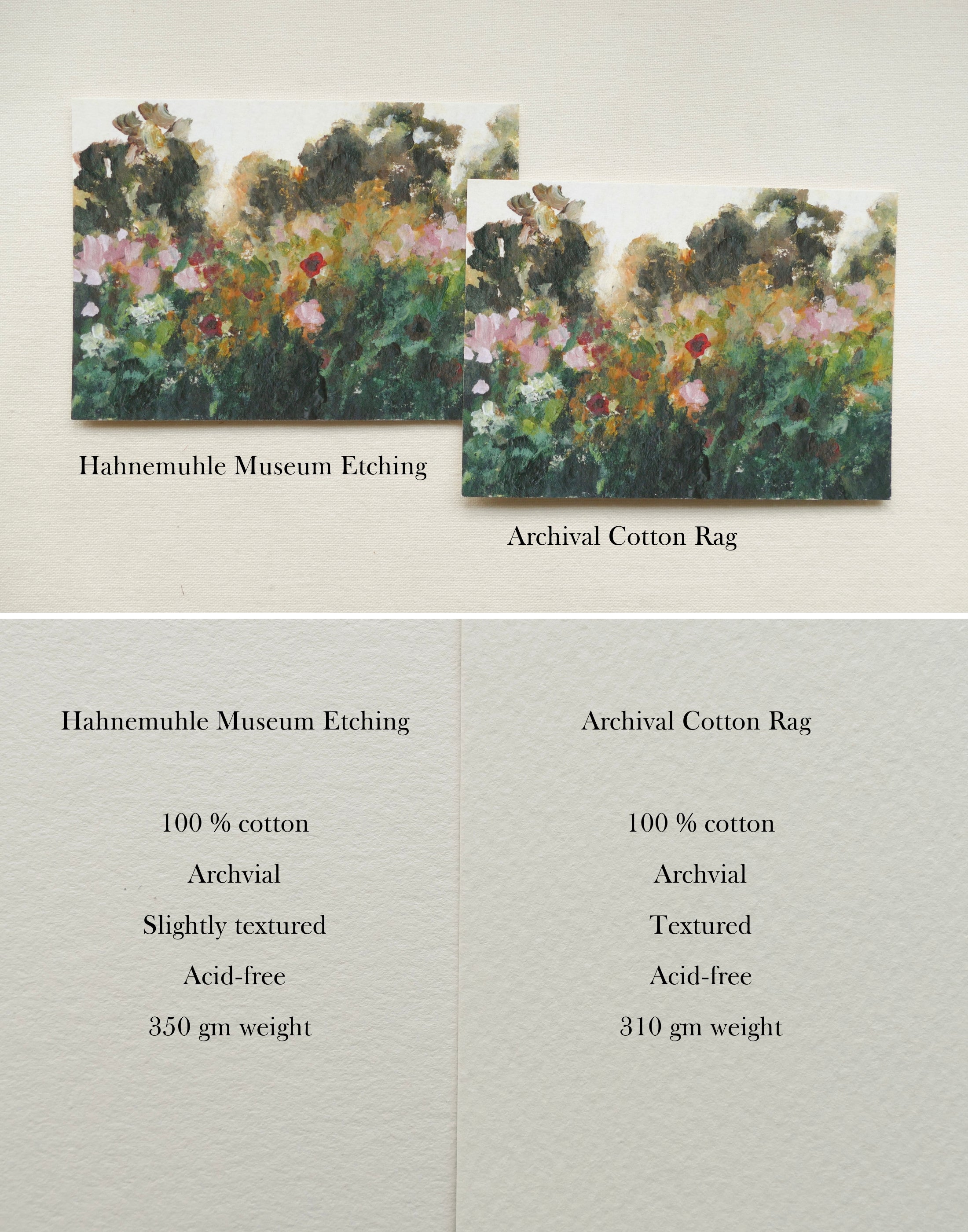 Pressed Wild Rose print