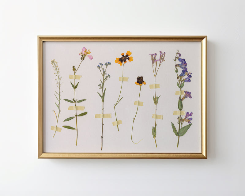 Pressed Wildflower Compilation II