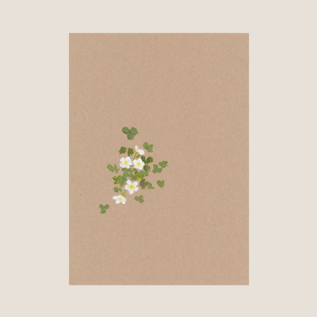 Botanical III