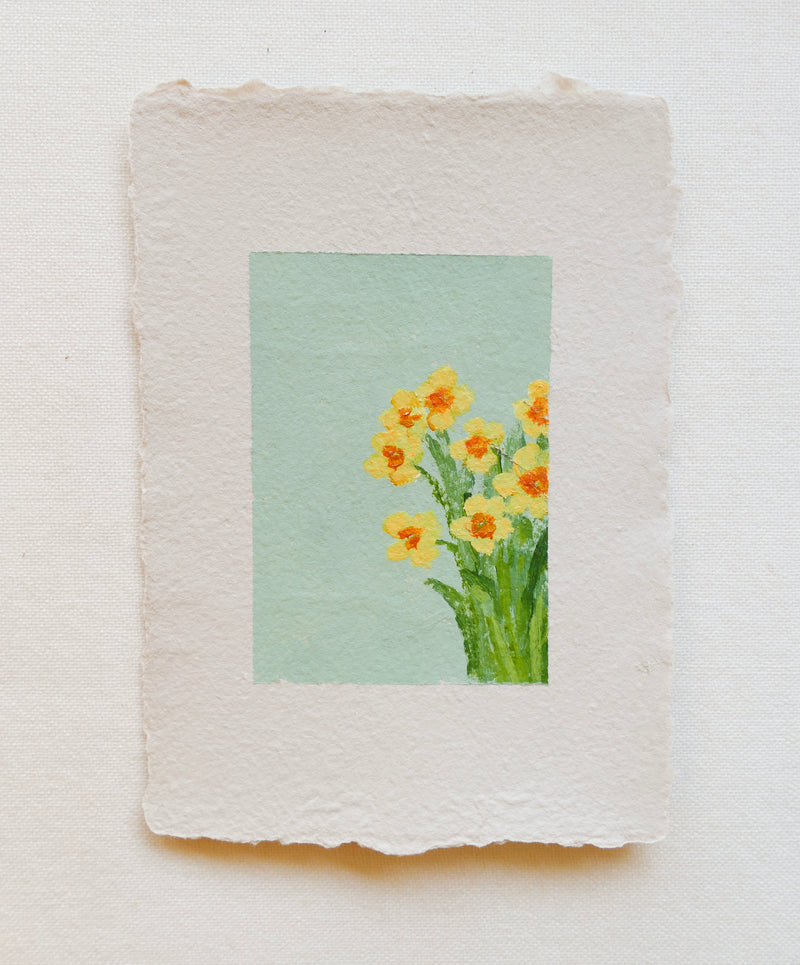 Daffodil study VI